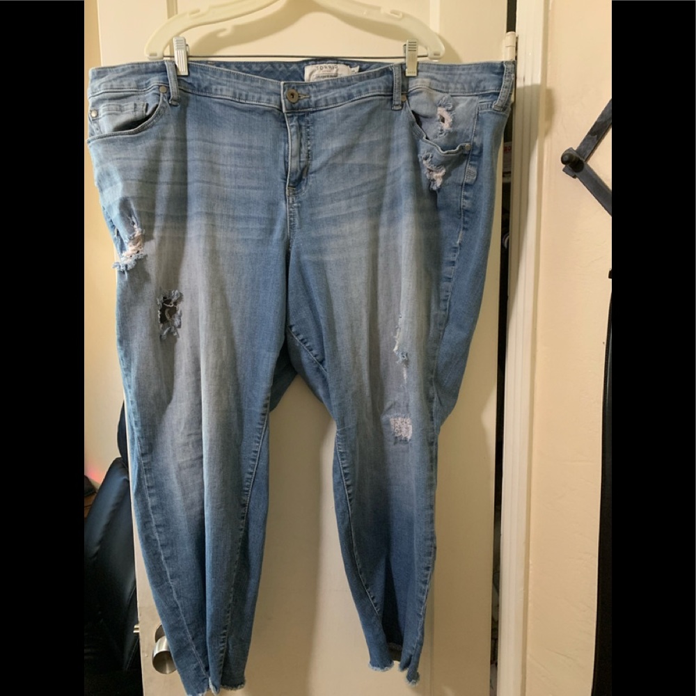 Torrid jeans